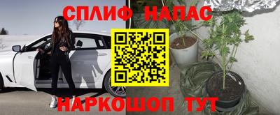 дурь Будённовск